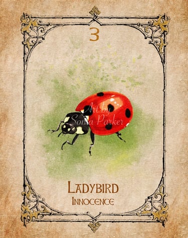 Ladybird, a card from the animal spirit oracle deck