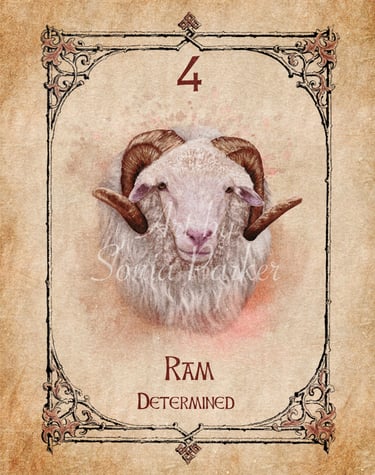 Ram card from the animal spirit oracle deck