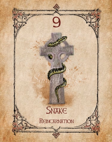 Snake card from the animal spirit oracle deck