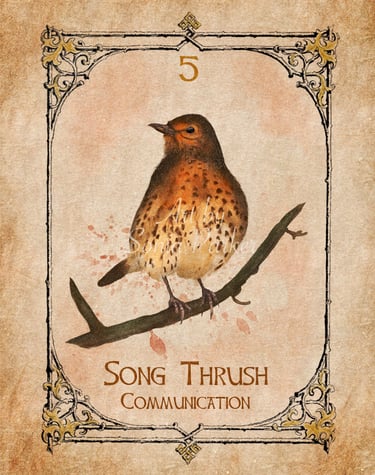 Song Thrush, a card from the animal spirit oracle deck