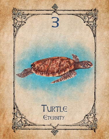 Turtle card from the animal spirit oracle deck