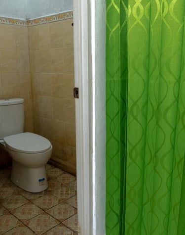 Kamar mandi lengkap dengan shower, closet duduk dengan flush, dan tersedia sabun