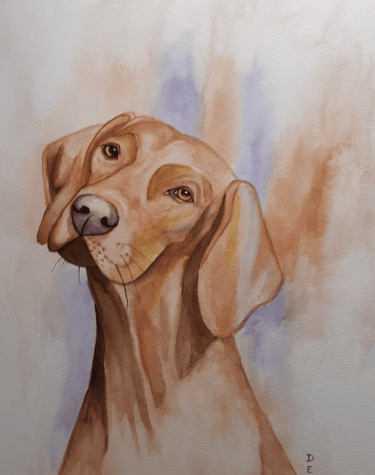 Watercolor painting of a Vizla (breed of dog).