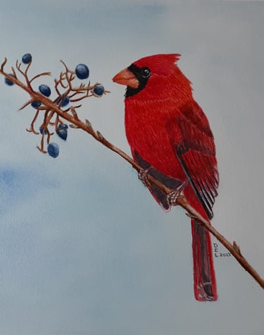 a watercolor painting of a red cardinal bird perched on a branch of a tree