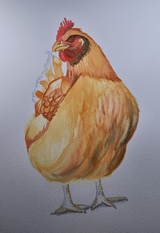a watercolor painting of a hen with a red comb and waddles