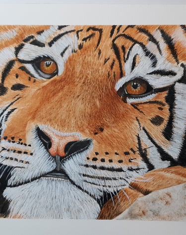 a watercolor painting of a tiger