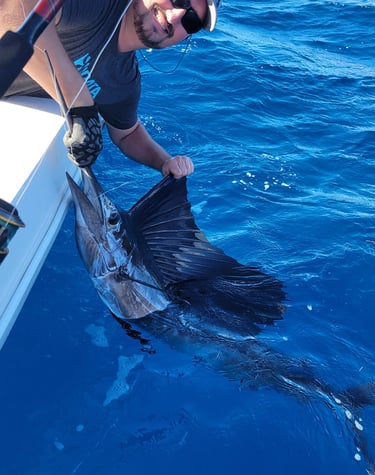 how to catch sailfish in islamorada