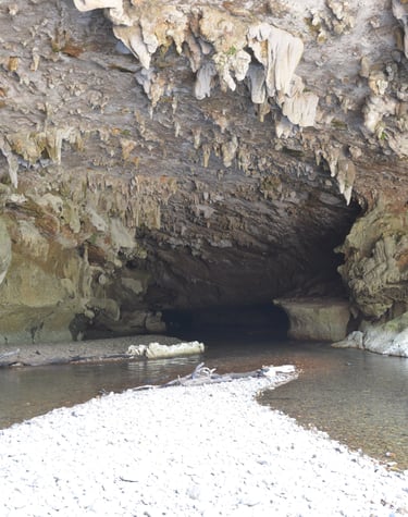 Cave Entrance at Nohoch Che'en National Park