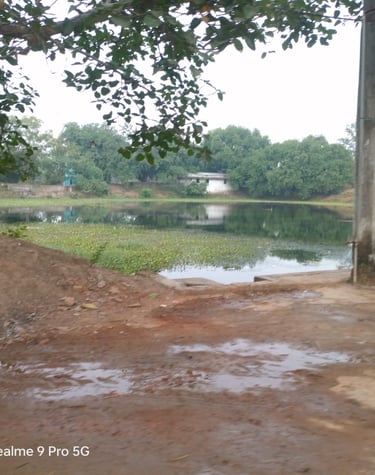 pond