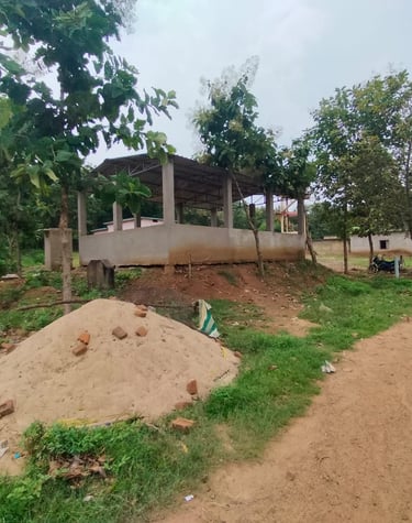 shelter