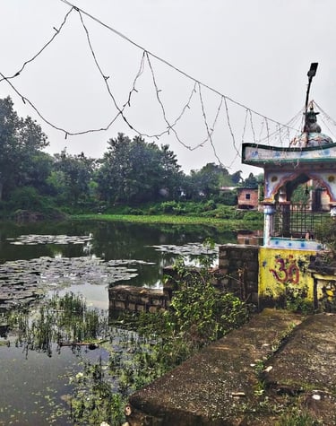 pond
