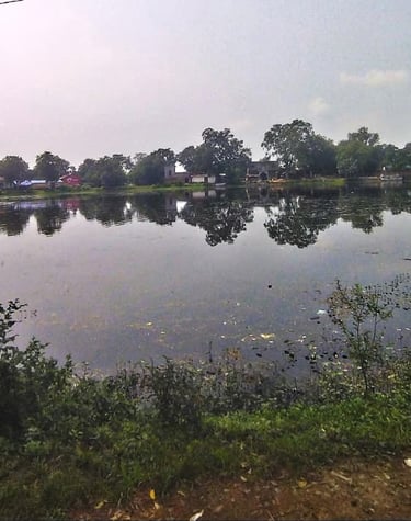 pond