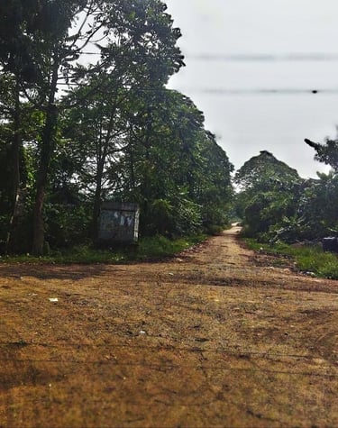 street