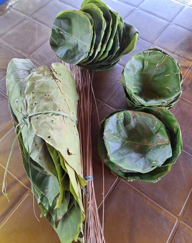 feuilles pour la confection des donas