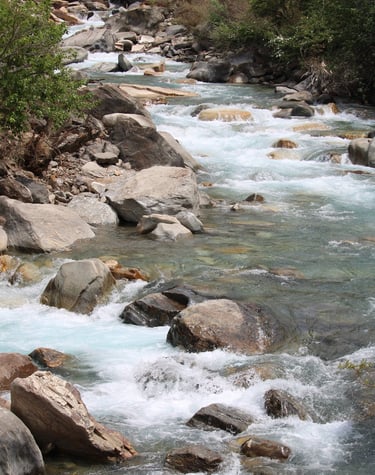 Rivière vers le lac Phoksundo