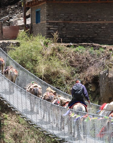 Bridge in Phoksundo trek