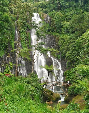 Hidden Waterfall