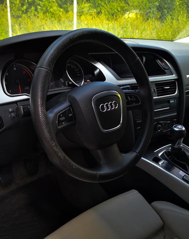 detailing interior piele