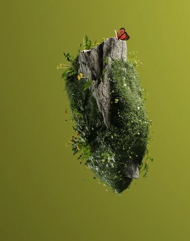 a butterfly sitting on top of a floating tree stump