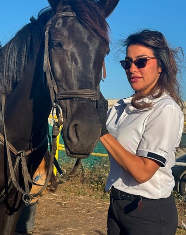 b_equestre,centre_equestre,cours_equitation,balade_a_cheval,balade_plage,balade_coucher_de_soleil,ch