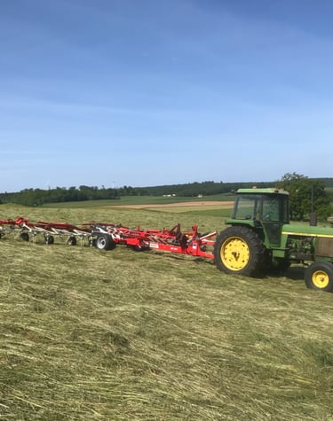 La récolte du foin bio