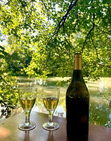 Chalet eau vacances foret nature chevaux 