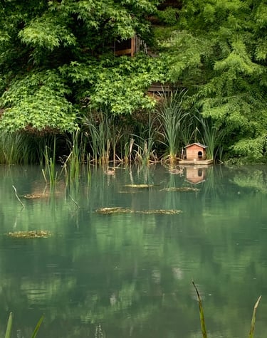 Chalet eau vacances foret nature chevaux 