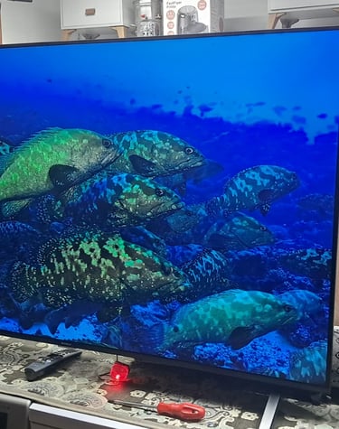 ikinci el lcd televizyon