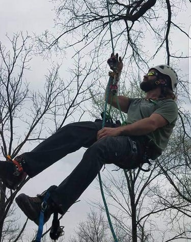 Shammah D'Urso on a rope climbing a tree in Ottawa Kansas 25 years experience safety