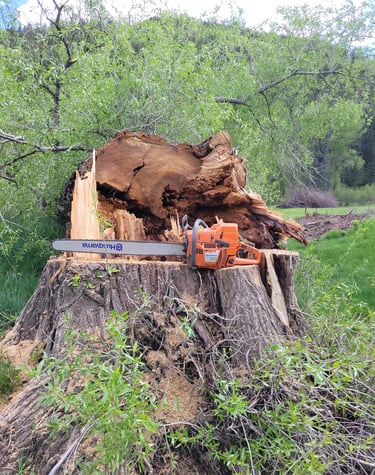 Chainsaw on a stump
