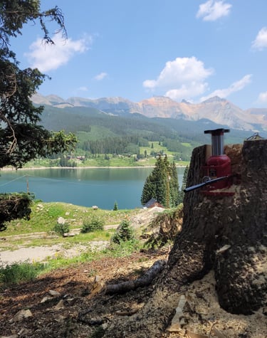 Landscape of a lake and mountains after clearing trees