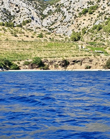 South hills with vineyards on Brac viewed from the sea during a private boat tour from Split
