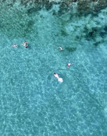 Aerial view of girls swimming and snorkeling in a bay near Milna on Brac during a private boat tour from Split, Croatia