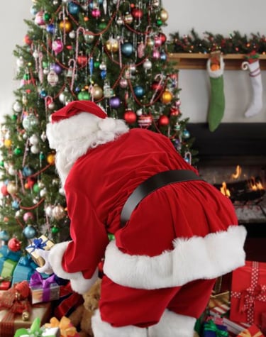 kaledu senelio vizitas vilniuje