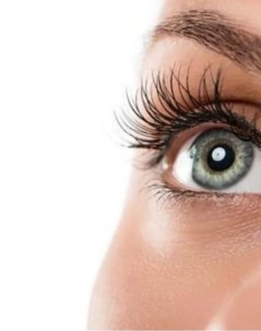 Hair and Esthetics Courses