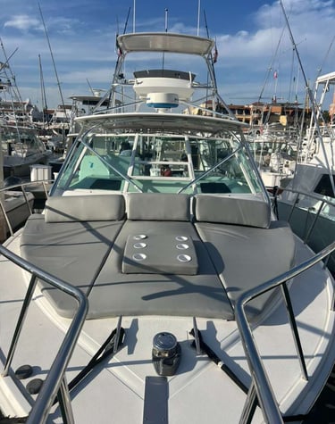 Luxury sportfishing boat bow featuring grey sunpad cushions and a tuna tower in a sunny marina.
