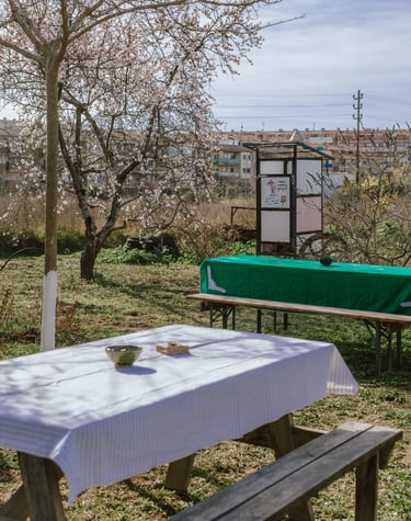De lluny veus la Ronda Iberica de Vilanova
