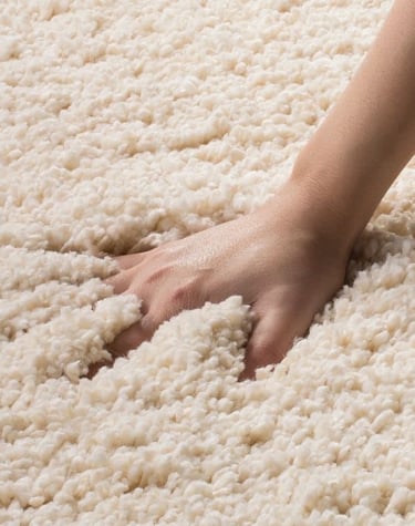 a hand on shag carpet in katy texas