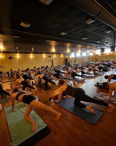 students practicing yoga in a studio 