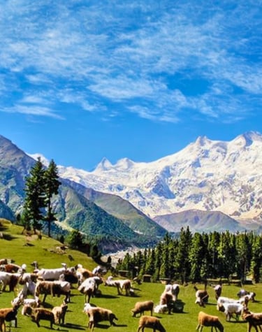 Panoramic view of nanga parbat peak from fairy meadows Pakistan 
