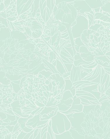 Fond fleurs thérapeutiques