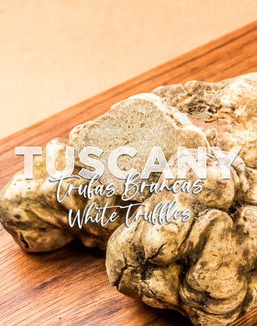 tartufo, toscana, vino, wine, florença, tour, passeio, decolar