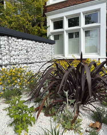Mediterranean-style front garden in Blackheath with gravel planting and drought-tolerant perennials