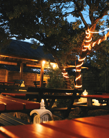 Foto restaurantes Costa Blanca