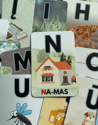 Lavinimo kortelės ABĖCĖLĖ