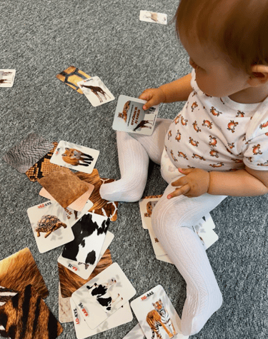 Lavinimo kortelės gyvūnai ir jų kailis