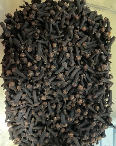 indonesian exporter high quality clover