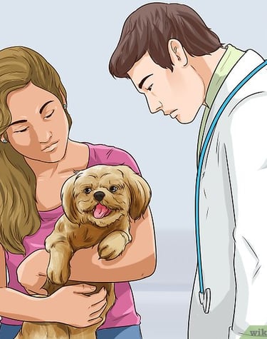 Perfect Paw Pups Healthy Care