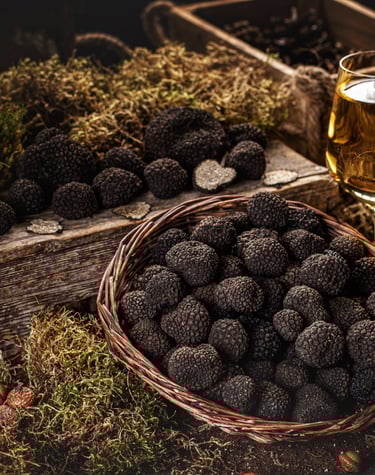 Les Truffes noires du Tricastin sont appréciées dans le monde et sont récoltée près du mas de l'Enclos du Soleil le Vent