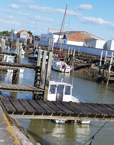 Le Port des Brochets à Bouin